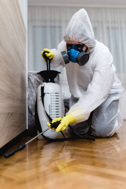 Best Emergency Pest Control  in Hackensack, NJ